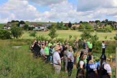 Menschen stehen auf einer Wiese im Hintergrund Häuse